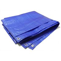 Krycí plachta s oky 10 x 15 m - STANDARD